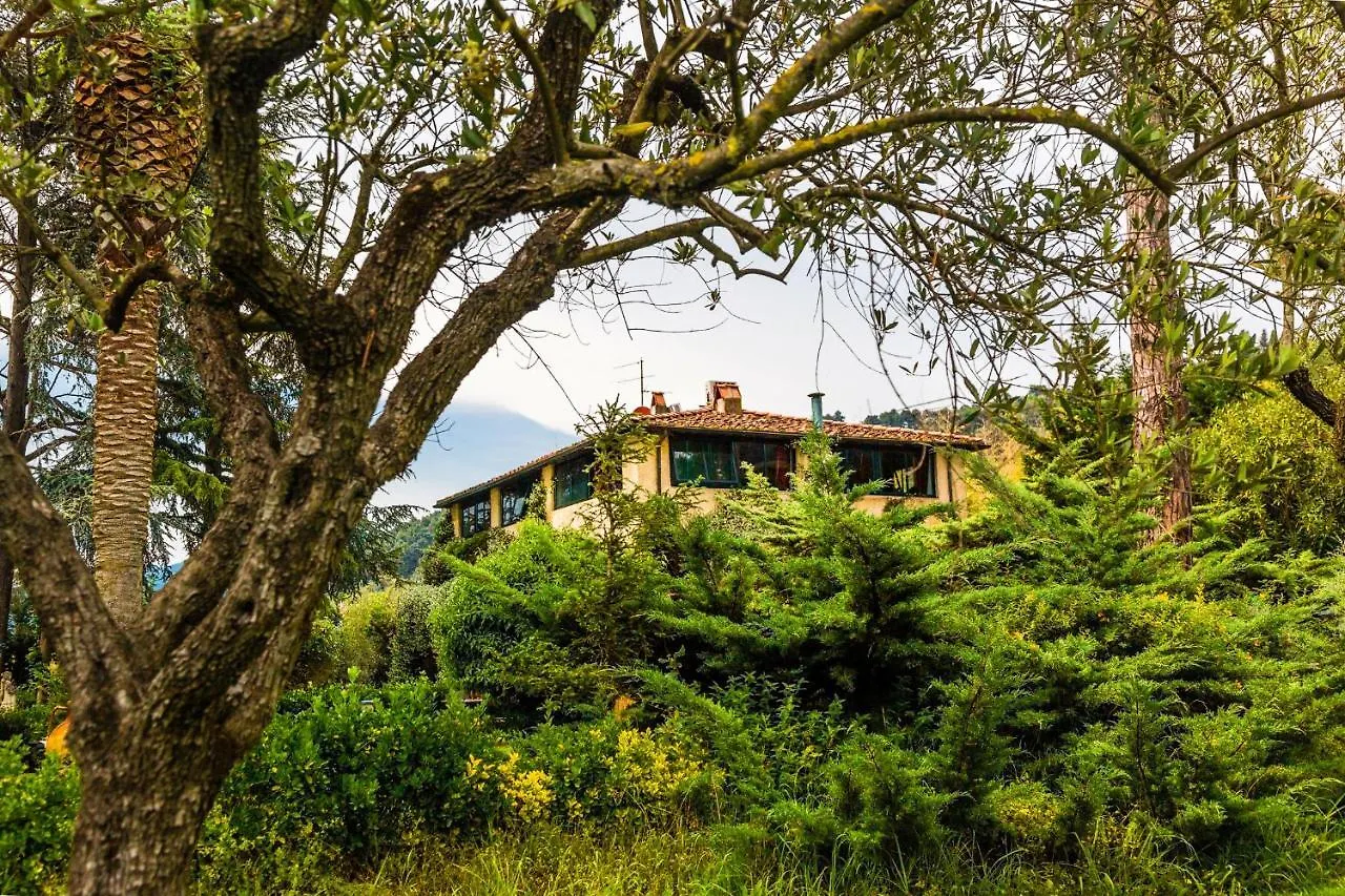 Casa Matilde Bed & Breakfast Mommio Italy