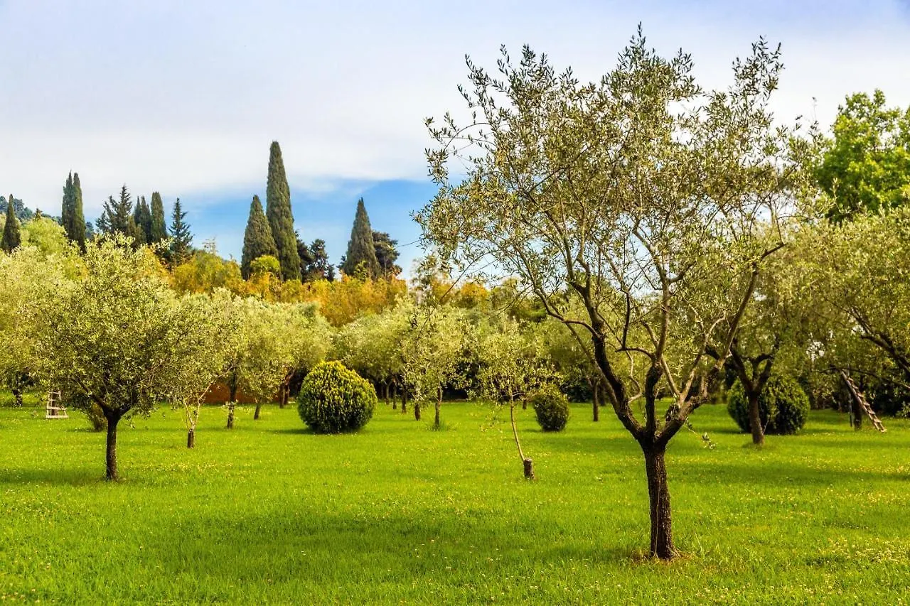 Casa Matilde Bed & Breakfast Mommio Italy