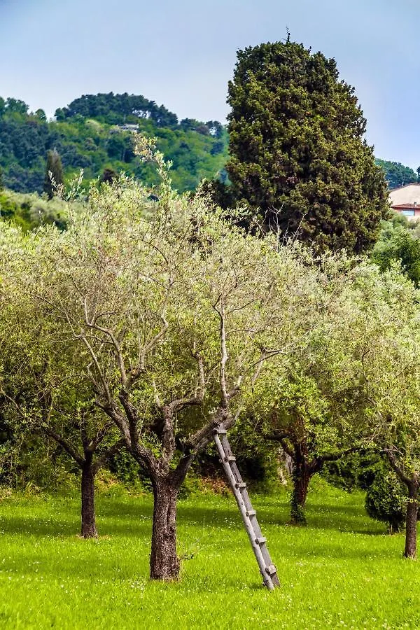 Casa Matilde Bed & Breakfast Mommio Italy